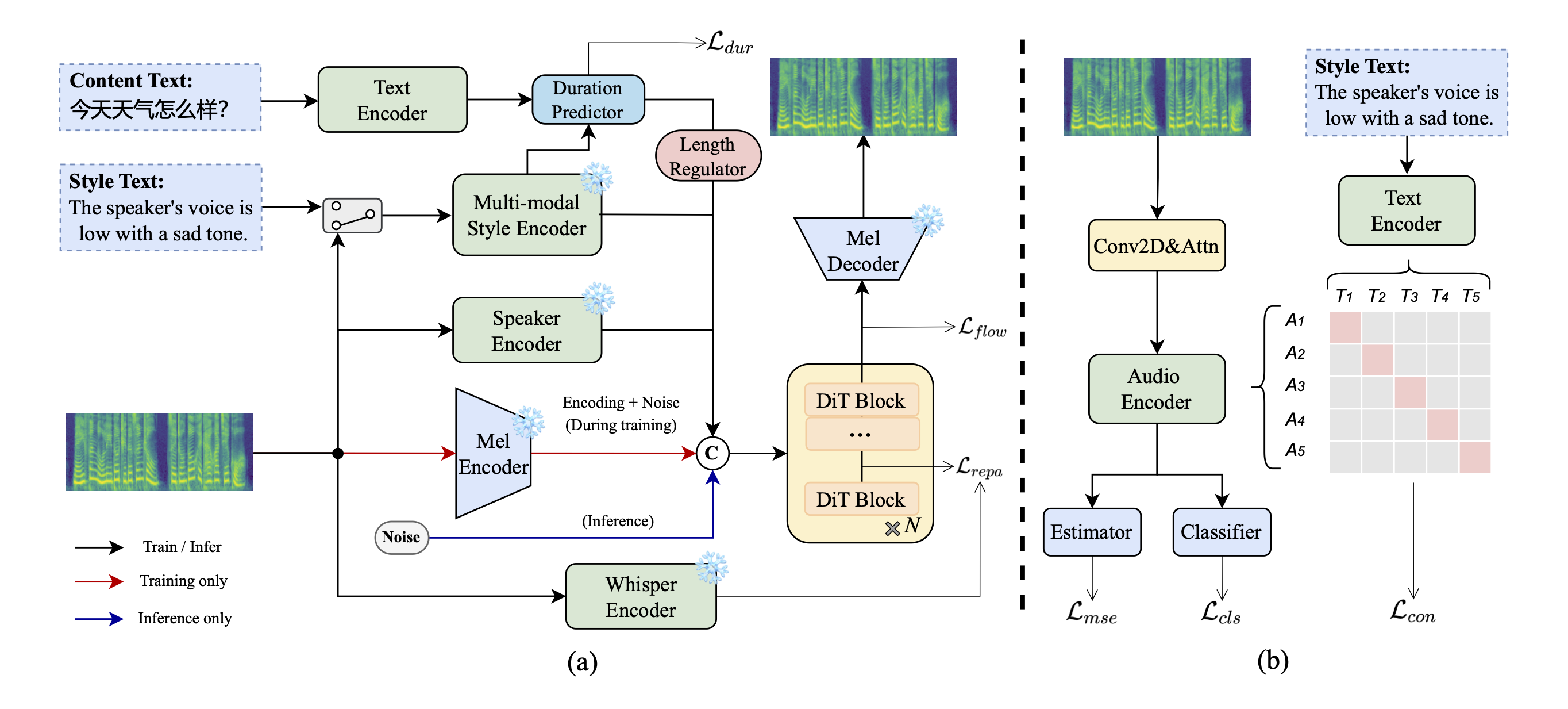 Architecture of the DMP-TTS model